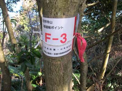 Ｆコース