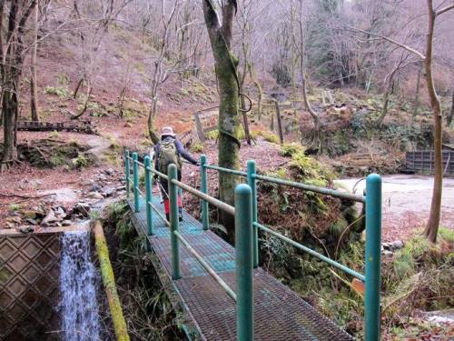 ＴＯＰ写真
