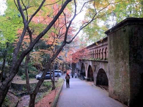 ＴＯＰ写真