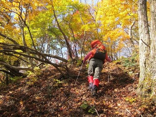 ＴＯＰ写真