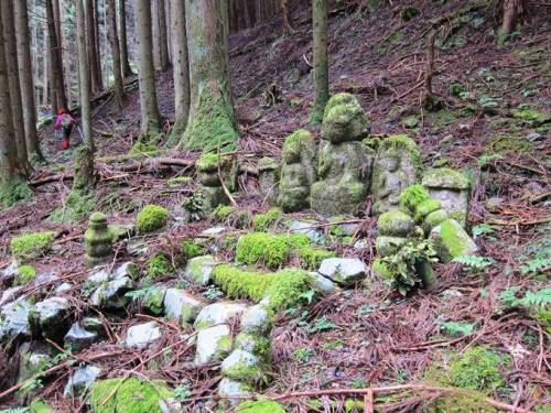 ＴＯＰ写真