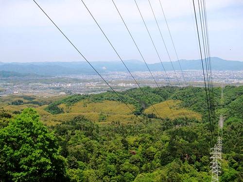 ＴＯＰ写真
