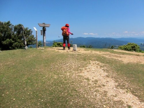ＴＯＰ写真
