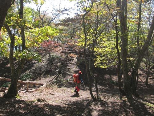 ＴＯＰ写真