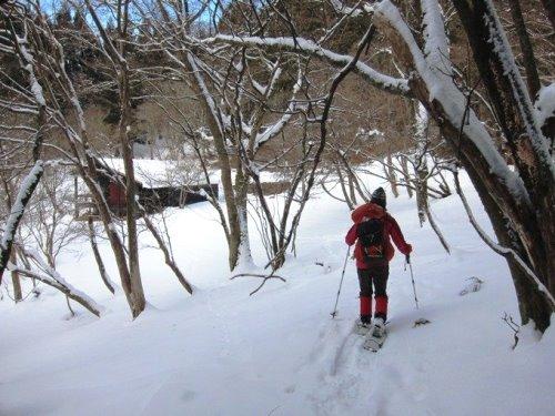 ＴＯＰ写真