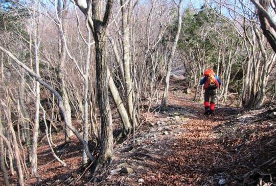 ＴＯＰ写真