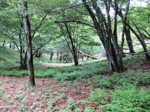 ＴＯＰ写真