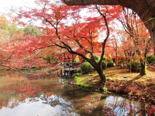 ＴＯＰ写真