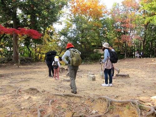 ＴＯＰ写真