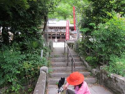 写真
