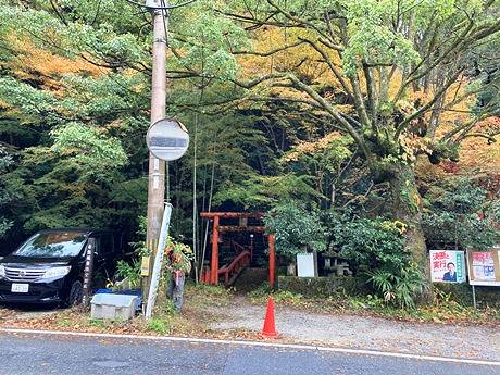 写真