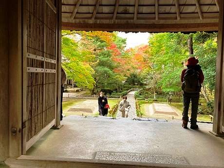 写真