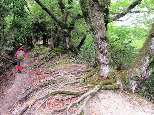 ＴＯＰ写真