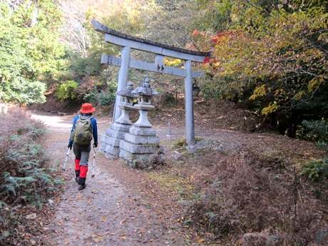 写真