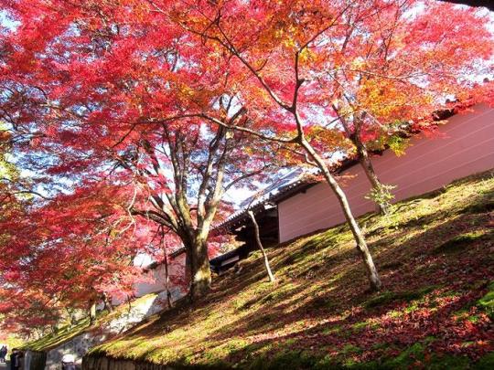 ＴＯＰ写真
