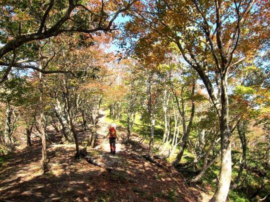 ＴＯＰ写真