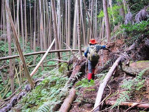 ＴＯＰ写真