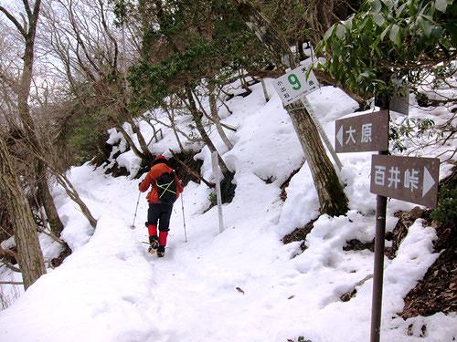 ＴＯＰ写真
