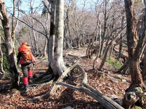 ＴＯＰ写真