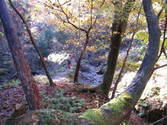 ＴＯＰ写真