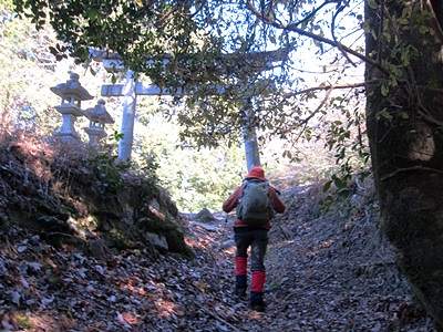 写真