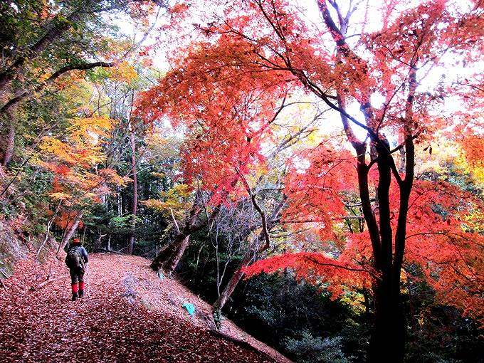 TOP写真