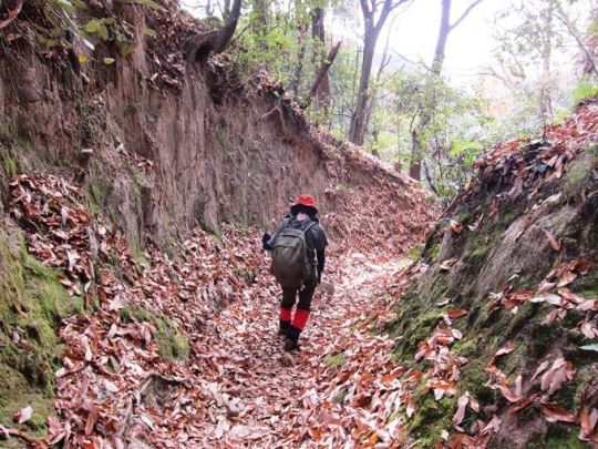 TOP写真