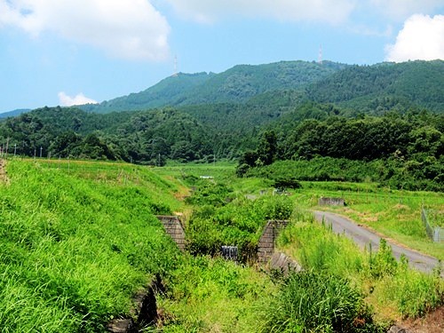 ＴＯＰ写真