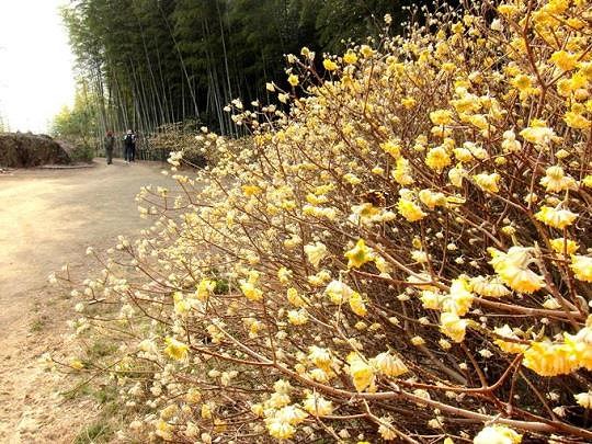 TOP写真
