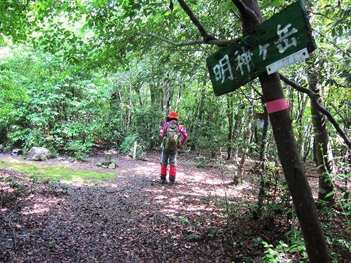 ＴＯＰ写真