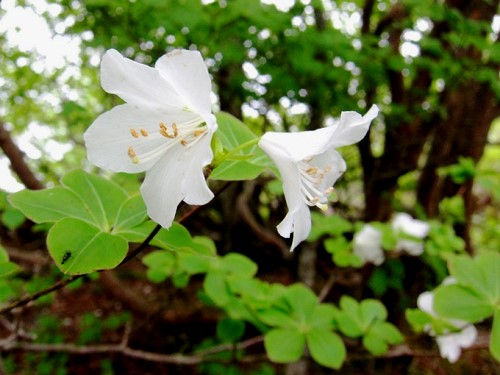 Top_photo