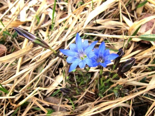 Top_photo