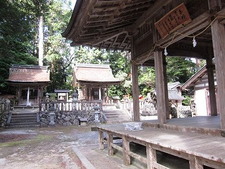写真