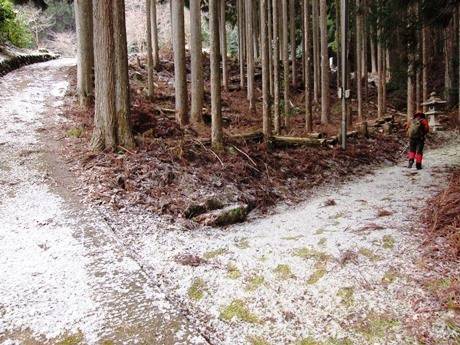 写真