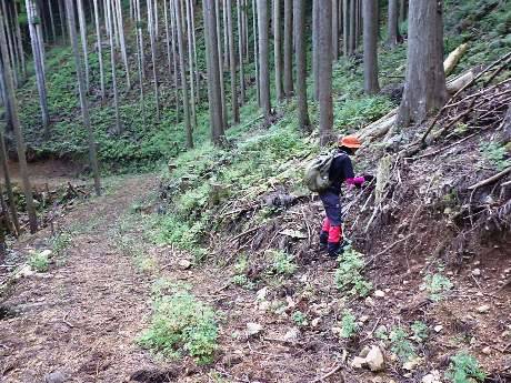 写真