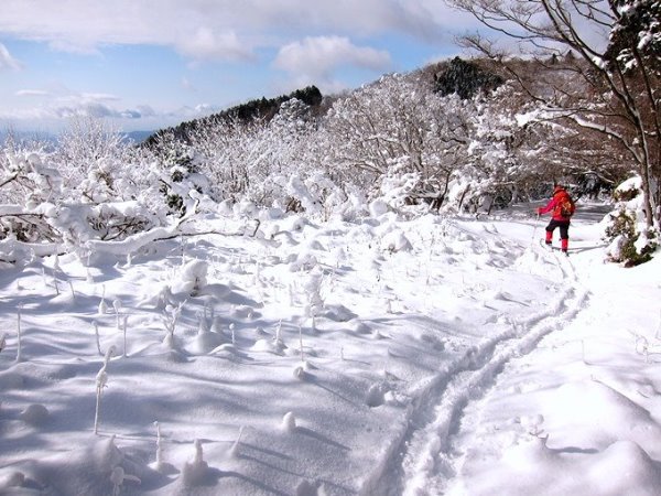 Top_ohoto